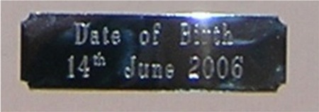 Engraved 'Silver' Nameplate ~ 2 lines